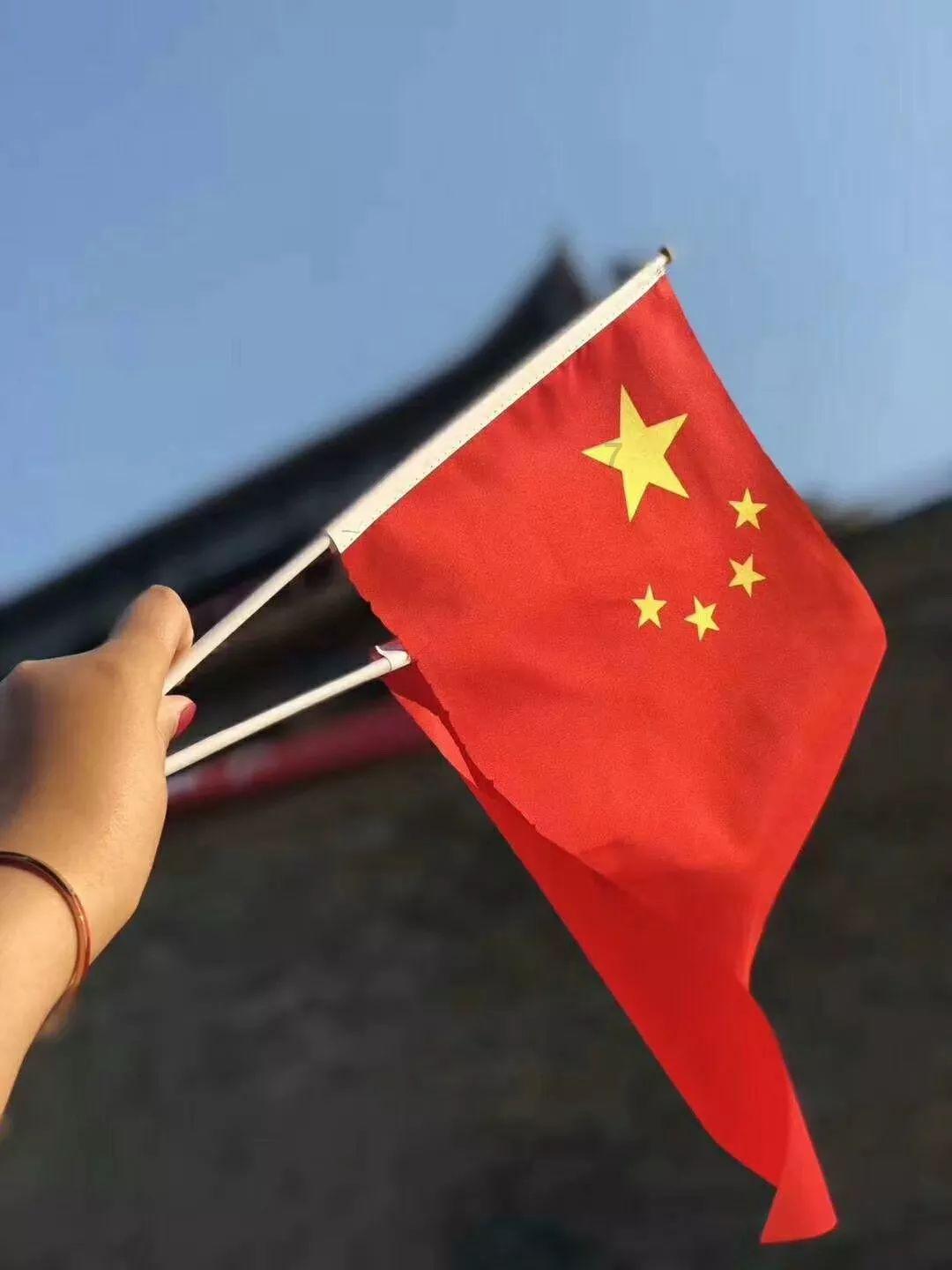 饥饿的松鼠救援